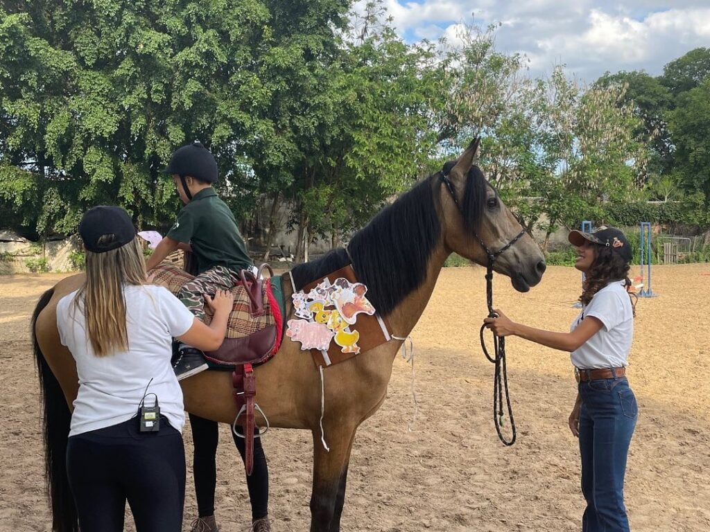 Equoterapia: A Terapia Assistida por Cavalos que Transforma Vidas. Uma prática terapêutica que utiliza cavalos como meio de tratamento